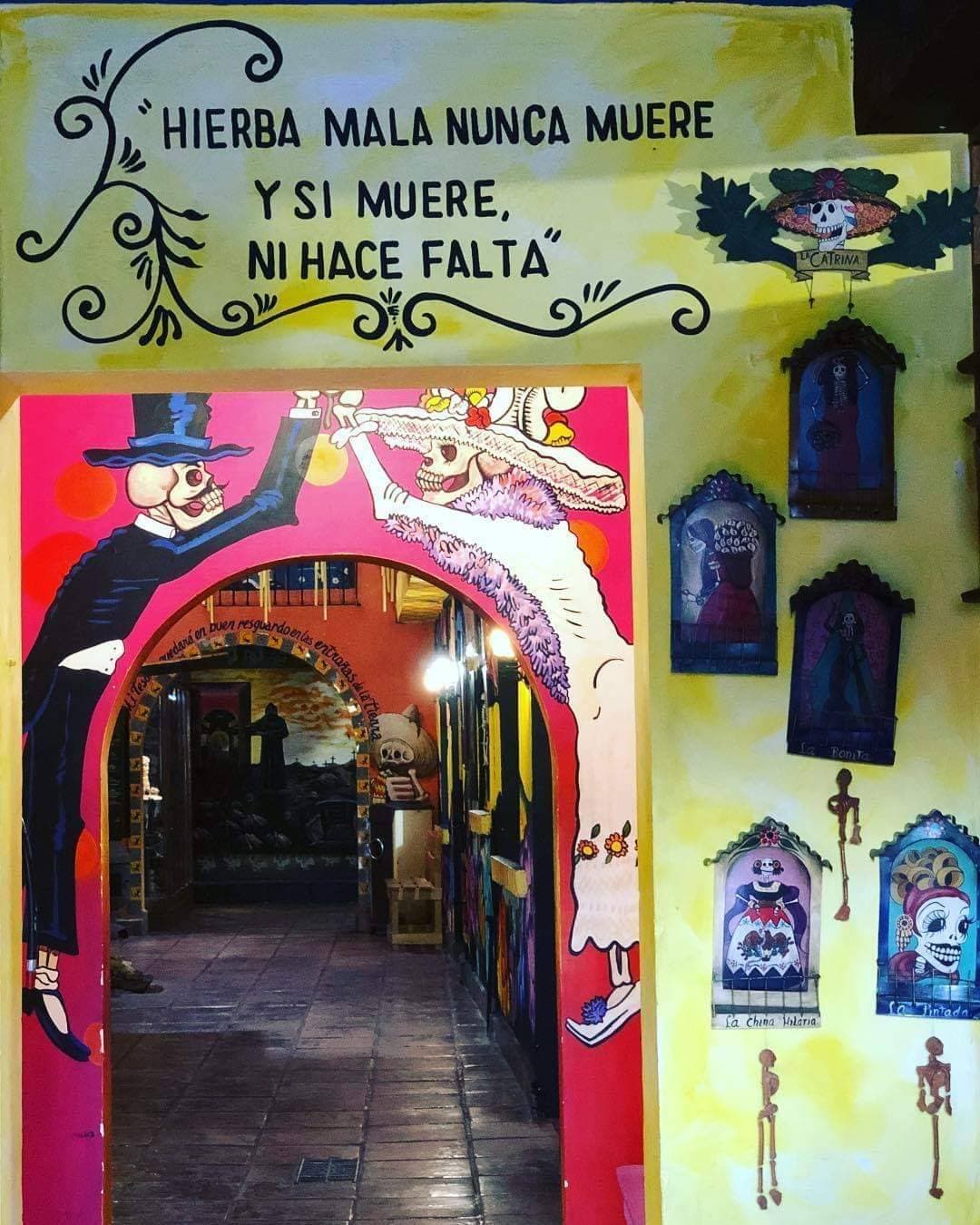 Lugar Museo de la Catrina