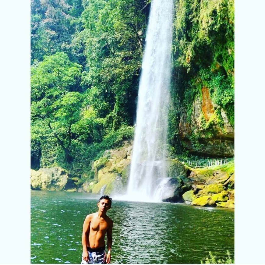 Lugar Cascada de Misol-Ha