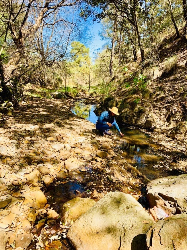 Lugar Parque Natural La Beata CGV