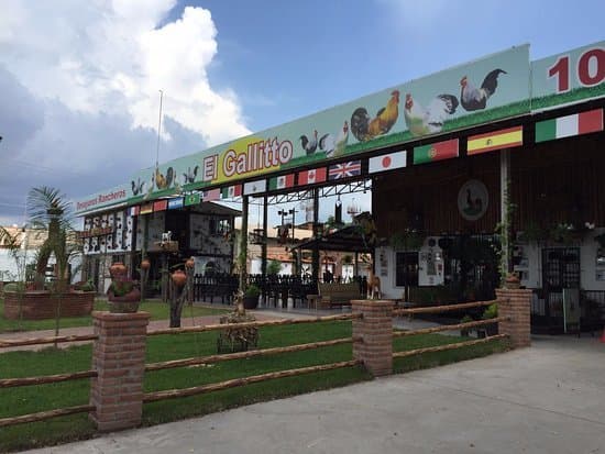 Restaurants El Gallito Aeropuerto