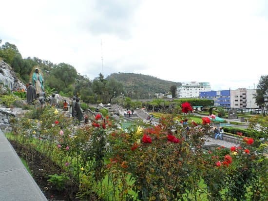 Place Jardines del Tepeyac