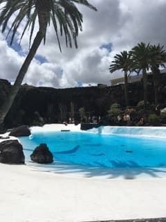 Place Jameos del Agua