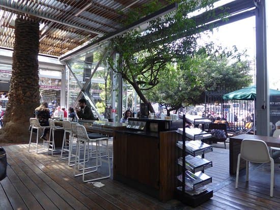 Restaurants Starbucks Chapultepec Reforma