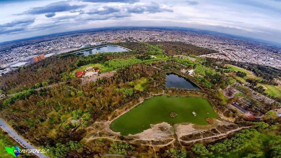 Place Parque Tangamanga I