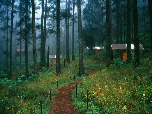 Place Parque Nacional El Chico