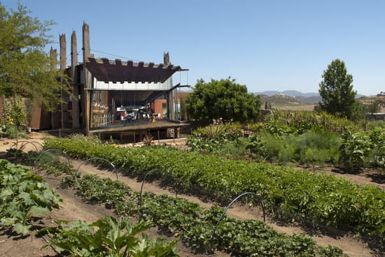 Restaurantes Corazón de Tierra