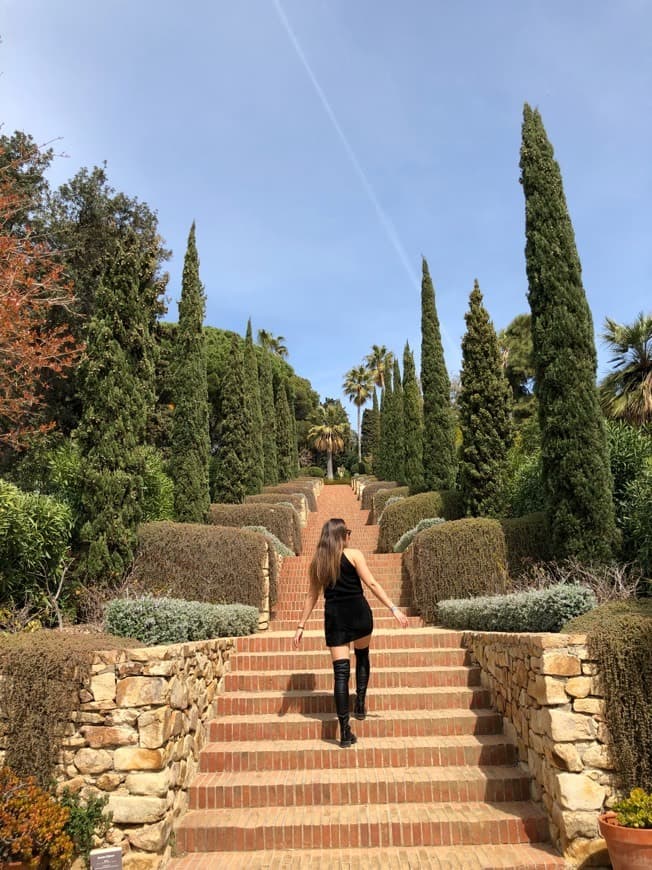 Lugar Inicio - Jardín Botánico Marimurtra