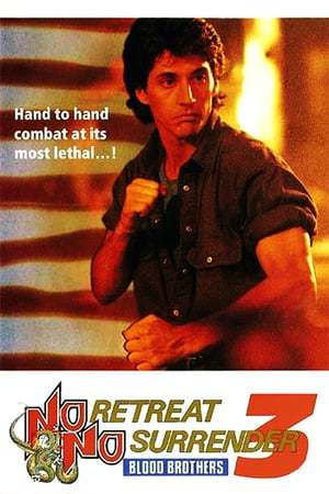 Película No Retreat, No Surrender 3: Blood Brothers