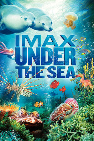 Movie Under the Sea 3D