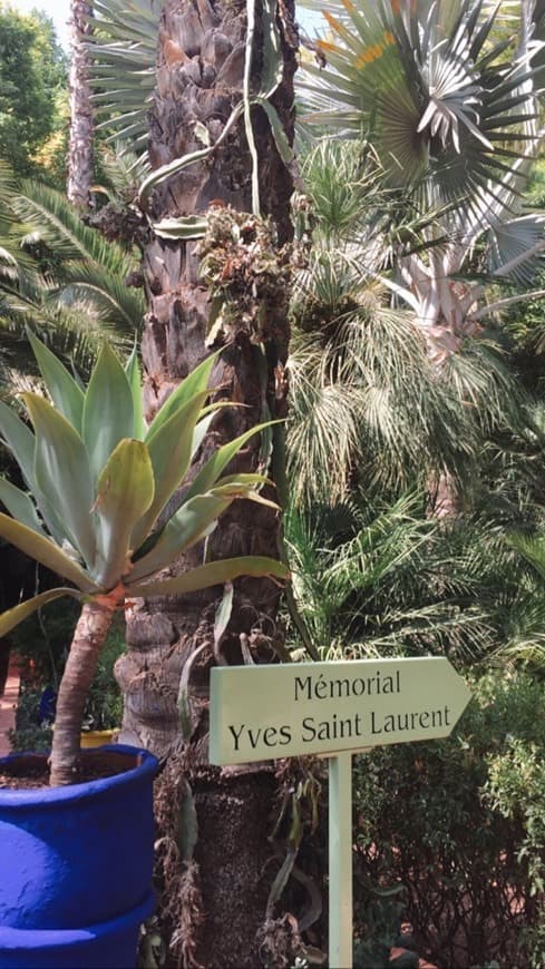 Place musée YVES SAINT LAURENT marrakech