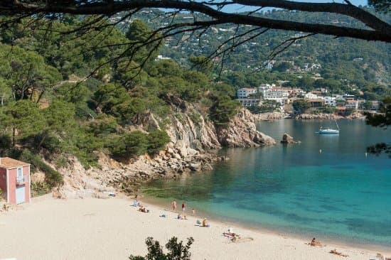 Restaurants Playa Cala Aiguablava