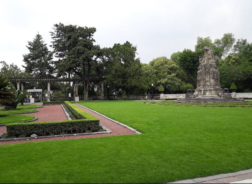 Lugar Bosque de Chapultepec I Sección