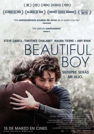 Película Beautiful Boy