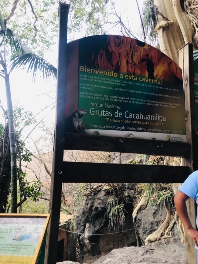 Lugar Parque Nacional Grutas de Cacahuamilpa