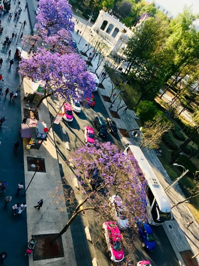 Lugar Plaza Juárez