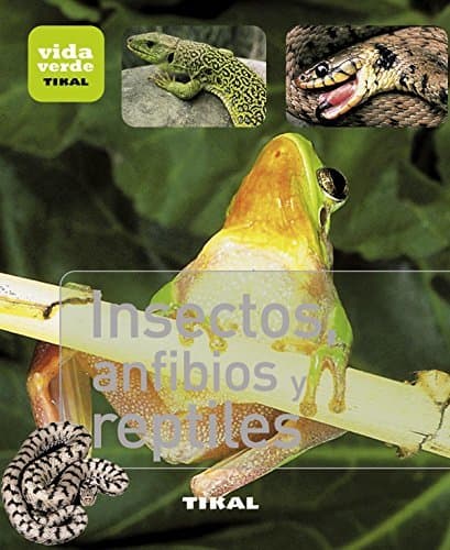 Libro Insectos, anfibios y reptiles