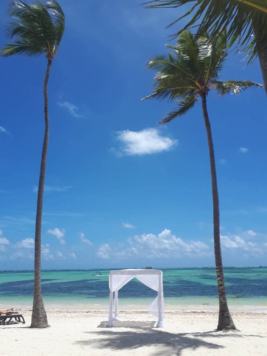 Lugar Playa Bavaro