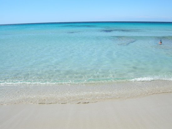 Lugar Playa de Son Bou (Alaior) - 2018 Qué saber antes de ir - Lo más ...