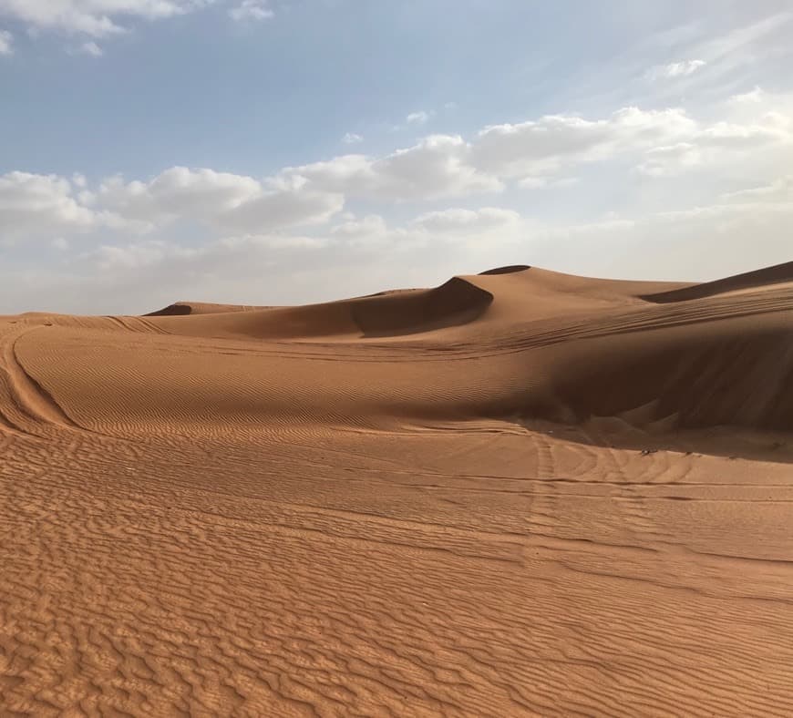 Place Desert Safari Dubai