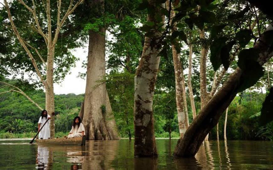 Lugar Selva La Candona