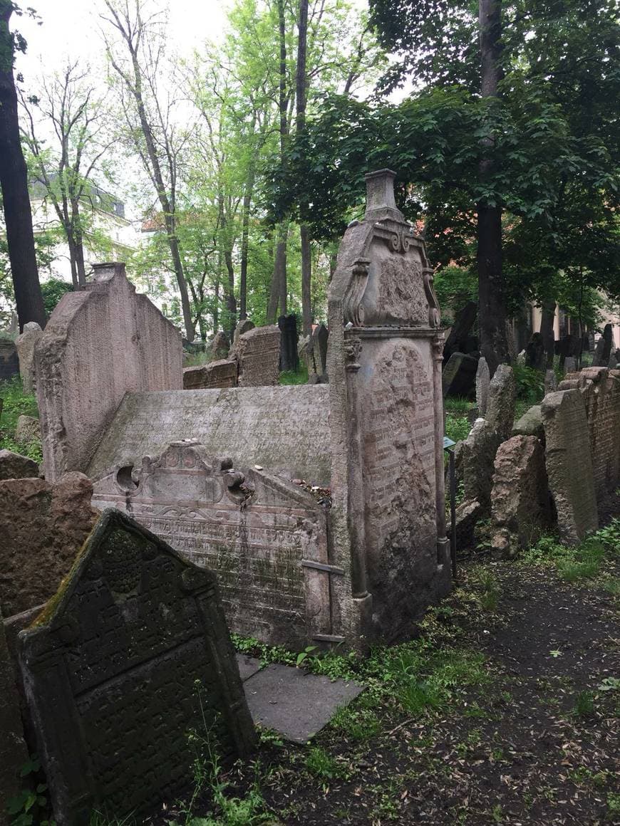 Place Old Jewish Cemetery