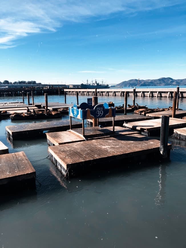 Place Pier 39