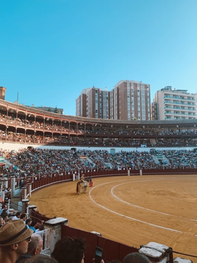 Place Plaza de toros de La Malagueta