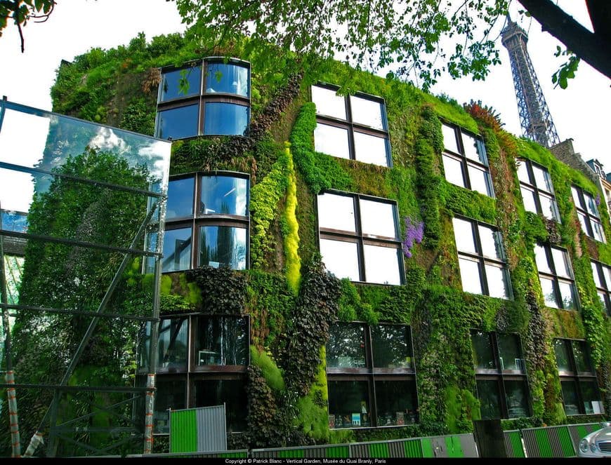 Place Museu do Quai Branly