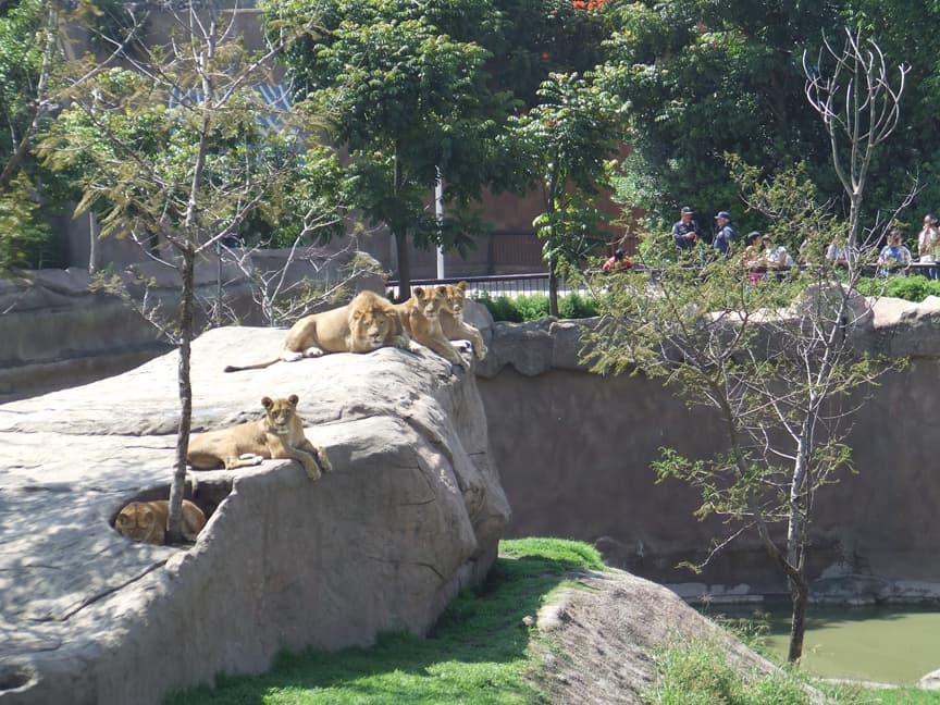 Place Zoológico de San Juan de Aragón