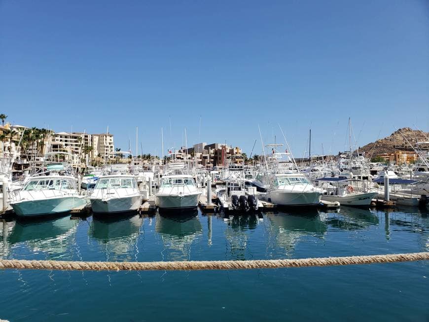 Place Marina Cabo San Lucas