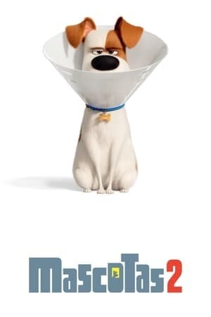 Movie The Secret Life of Pets 2