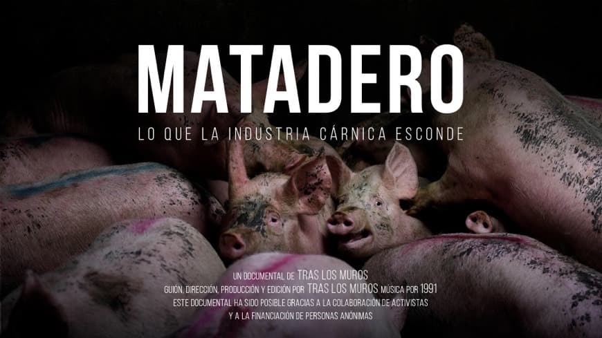 Película Matadero | Tras los muros