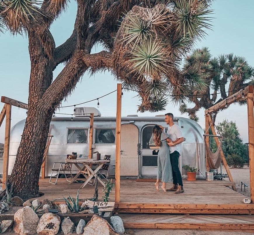 Place Joshua Tree Acres