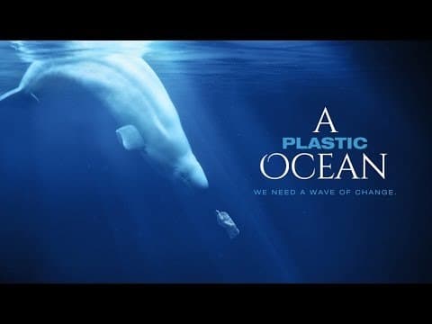 Fashion A Plastic Ocean | Netflix