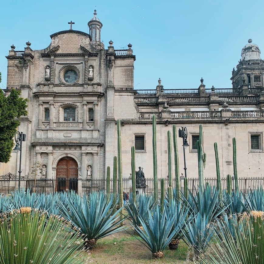 Place Catedral Metropolitana de la Asunción de María