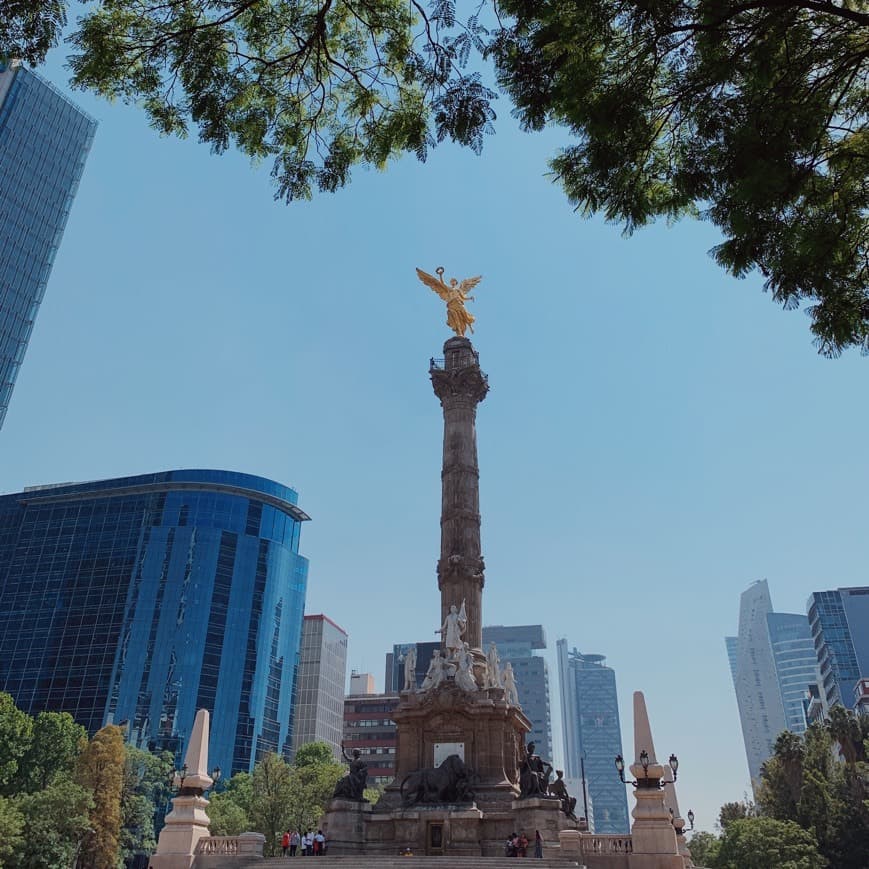 Place Ángel de la Independencia