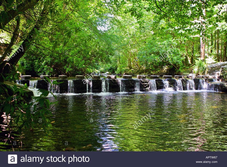 Lugar Tollymore Forest Park