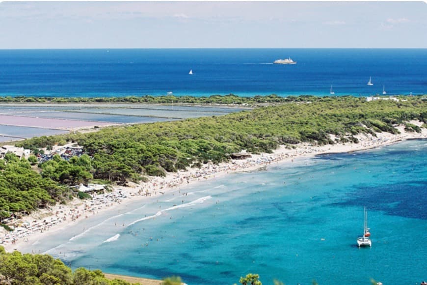 Lugar Platja de ses Salines