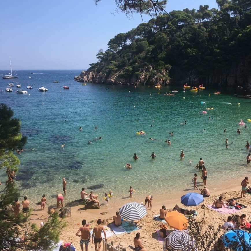 Restaurantes Playa Cala Aiguablava