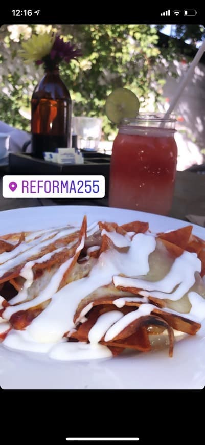 Restaurants Reforma 255