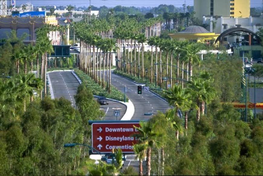 Lugar Disneyland Drive