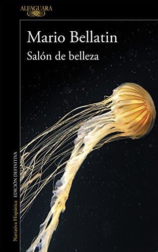 Book Salón de belleza