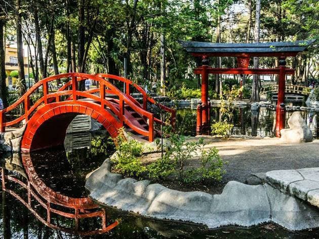 Lugar Parque Coyoacán