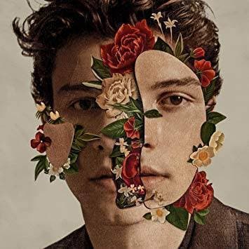 Music Shawn Mendes Playlist