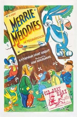 Serie Merrie Melodies