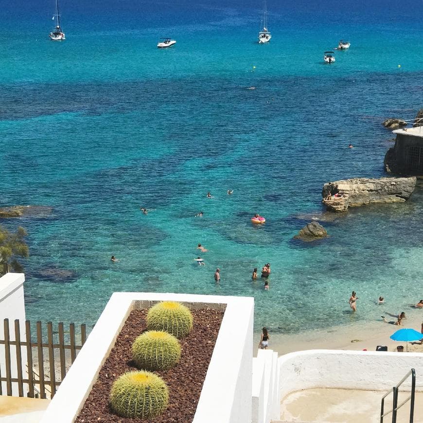 Place Cala Sant Vicenç