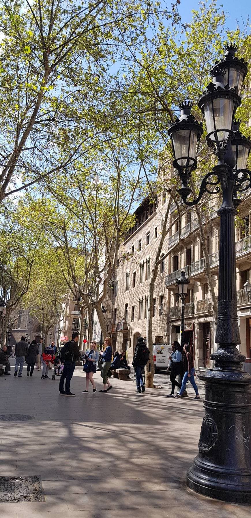 Place Passeig del Born