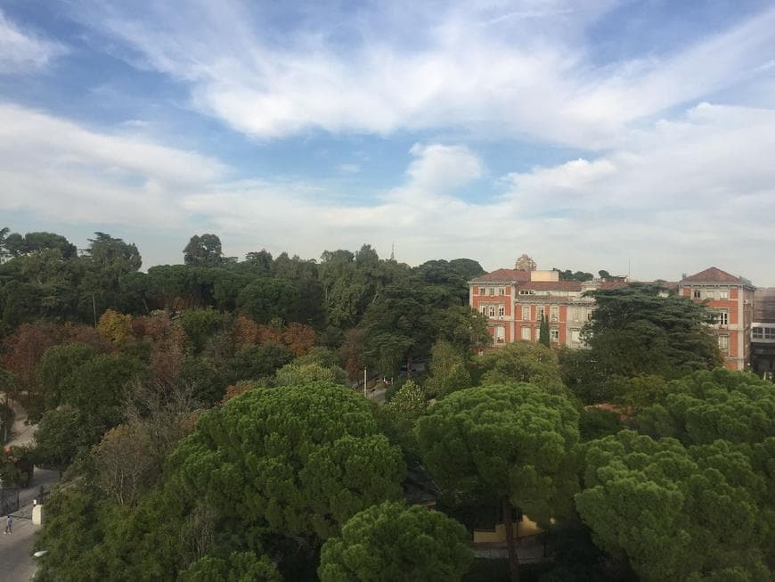 Lugar Parque de El Retiro