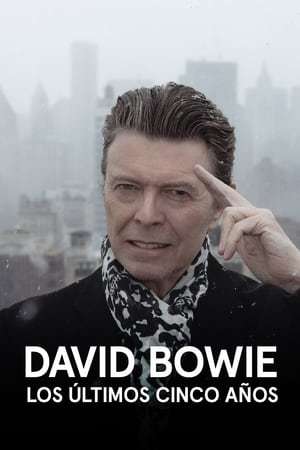 Movie David Bowie: The Last Five Years