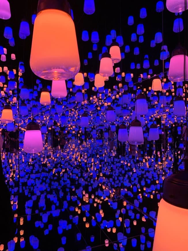 Place teamLab Borderless Tokyo: MORI Building DIGITAL ART MUSEUM